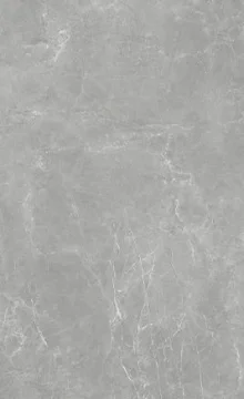 Bosco Silver