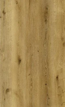 Denver Oak
