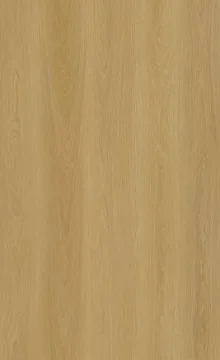 Santa Monica